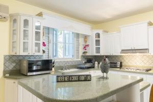 a kitchen with a bird statue on a kitchen counter at Kasa Loza in Aguadilla