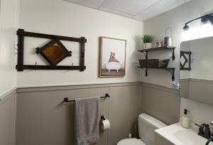 uma casa de banho com um WC e um lavatório em Pocono Mountain View Lake House in Lake Harmony em Lake Harmony
