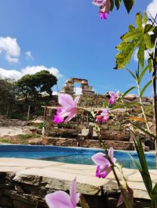 mit Blick auf den Pool und die Blumen in der Unterkunft Recanto das Pedras Hospedagem in São Thomé das Letras