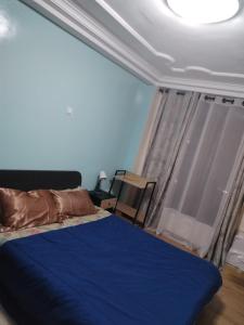 een slaapkamer met een blauw bed en een raam bij Appartement Elegant in Conakry