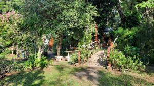 a garden with plants and trees and a path at Camping Nomadas in Bonito