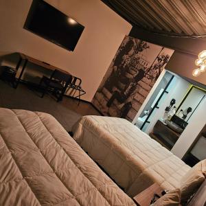 a bedroom with a bed and a flat screen tv at HOTEL RIO RITA in Tijuana