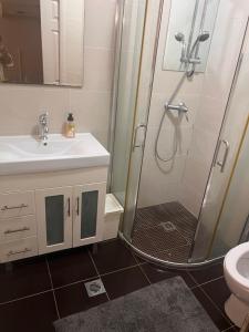 ein Bad mit einer Dusche und einem Waschbecken in der Unterkunft Leafy garden in Sydney