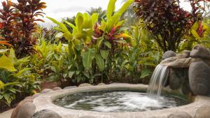 a small pond with a waterfall in a garden at Volcano Lodge, Hotel & Thermal Experience in Fortuna