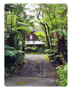 eine Auffahrt, die zu einem Haus in einem Garten führt in der Unterkunft The Pacifica Inn in Volcano