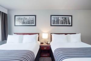 Cama ou camas em um quarto em Sandman Inn Cache Creek