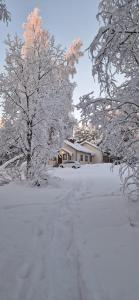 a snow covered driveway with trees and a house at Lapland Old School in Muonio