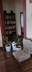a living room with a chair and potted plants at Kaole Cosy Retreat in Bagamoyo