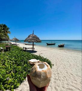 a person holding a large shell on a beach at Afro Rooms & Tents in The Beach in Kilindoni