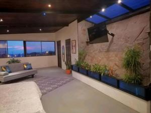 una gran sala de estar con una pared de piedra con plantas. en Apart Céntrico con vista, en Heredia