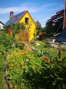 una casa amarilla con un jardín delante de ella en Zum Waldmeister - WC außerhalb, en Schkeuditz