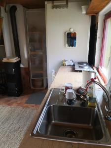 a kitchen with a sink and a shower in a room at Zum Waldmeister in Schkeuditz
