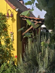 a garden with a yellow house and some plants at Zum Waldmeister in Schkeuditz