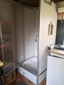 a shower with a glass door in a kitchen at Zum Waldmeister in Schkeuditz