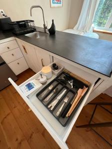 a kitchen island with a stove and a sink at Black Spruce - Yellow Door in Whitehorse