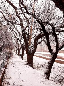 L'établissement Los Nogales en hiver