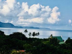 vistas a una gran masa de agua con palmeras en 1. Studio at Somphong Ban Amphur beach Thailand, en Na Jomtien 19 fotos más