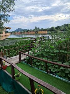 LakeSide Homestay Srinagar في سريناغار: حديقة بها الكثير من النباتات في النهر