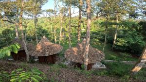 a group of small huts in a forest at Eco Conservation Landak Luxury Tents in Bukit Lawang