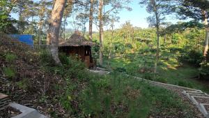 a small hut in the middle of a forest at Eco Conservation Landak Luxury Tents in Bukit Lawang