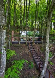 eine Holzbrücke in einem Wald mit Bäumen in der Unterkunft Montebello Chalet in Porumbacu de Sus