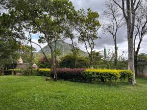 La serene nandihills外面的花园