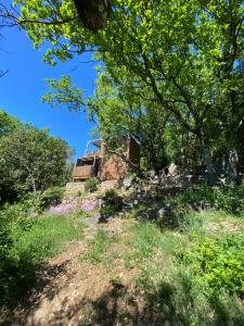 an old house on the side of a hill with trees at Tiny House en lisière de forêt in Les Mages