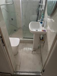 a bathroom with a sink and a shower and a toilet at HighX Hotels in Port Harcourt