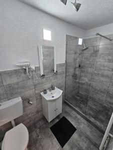 a bathroom with a shower and a toilet and a sink at Mona Central Apartment in Hunedoara