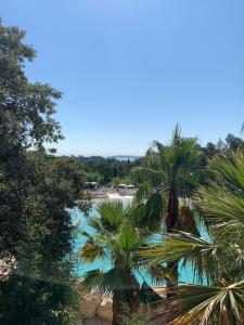 a view of a body of water with palm trees at Appartement région de St-Tropez in Grimaud