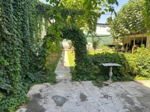 een tuin met een boog bedekt met groene klimop bij REAL TASHKENT Inn in Tasjkent