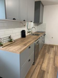 Η κουζίνα ή μικρή κουζίνα στο Fig Tree Murter +9 φωτογραφίες