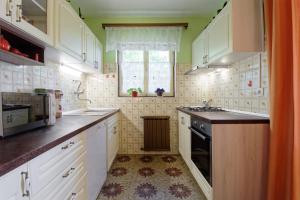 Kuchyň nebo kuchyňský kout v ubytování Holiday Home Vlady by Rent Istria