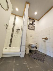 a bathroom with a shower and a toilet at Spechtnest in Naumburg +22 photos