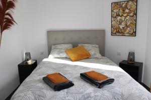 a bedroom with a bed with two towels on it at Le gîte du Haut-Breuil proche de Beauval châteaux de la Loire in Vicq-sur-Nahon