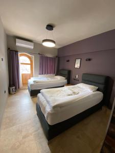 two beds in a room with purple walls at Adventure Inn Cappadocia in Goreme