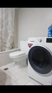 - un lave-linge dans la salle de bains pourvue de toilettes dans l'établissement Ina's cozy apartment, à Peraia
