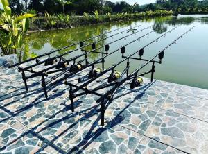 eine Reihe von Bänken mit Angelruten im Wasser in der Unterkunft Chaiyaphum Monster Fishing Resort in Ban Huai Kum