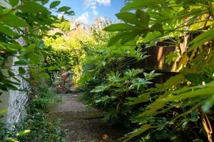 un jardín con plantas verdes y un camino en GuestReady - Former Pub-Turned-One Bedroom Flat en Londres