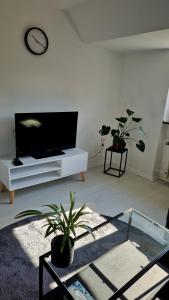 a living room with a flat screen tv and plants at Zentrales Apartment am Bergmannsheil Kh in Bochum