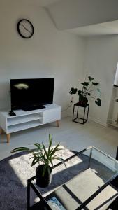 a living room with a flat screen tv and plants at Zentrale Ferienwohnung direkt am Bergmannsheil mit Parkplatz & WLAN in Bochum