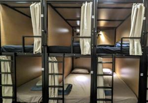 eine Gruppe Etagenbetten in einem Zimmer in der Unterkunft Base Camp Hostel in Adelaide