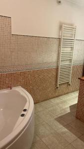 コゼンツァにあるLuxury Room Cosenzaのバスルーム(トイレ、バスタブ付)