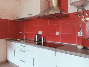een keuken met een wastafel en een rode betegelde muur bij FUERTE CAMPILLOS in Costa de Antigua