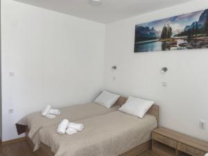 1 dormitorio con 2 camas y un cuadro en la pared en Hostel Flora Mezdra, en Mezdra