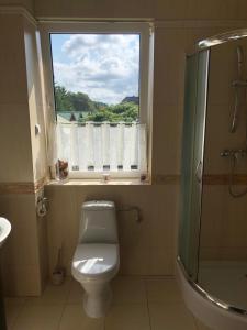 a bathroom with a toilet and a window at Apartament Klaudia in Stegna