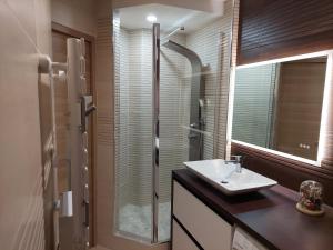 Un baño con lavabo y ducha de cristal. en LE PANORAMIQUE, en Toulouse