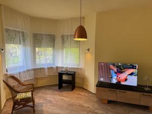 TV a/nebo společenská místnost v ubytování Schöne Wohnung mit Erker