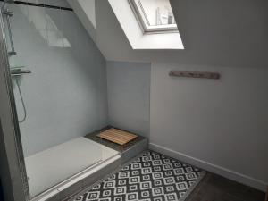 een badkamer met een douche en een dakraam bij L'auseth in Oloron-Sainte-Marie