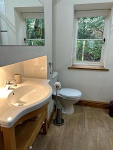 a bathroom with a sink and a toilet and a mirror at Deer Close Cottage in Keswick